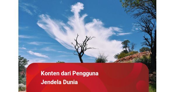 Ademin: Santapan Segar di Jantung Cilacap yang Bikin Ngiler